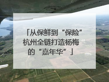 从保鲜到“保险” 杭州全链打造杨梅的“嘉年华”
