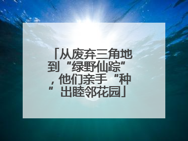 从废弃三角地到“绿野仙踪”，他们亲手“种”出睦邻花园