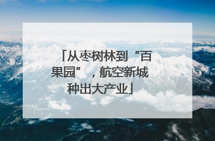 从枣树林到“百果园”，航空新城种出大产业