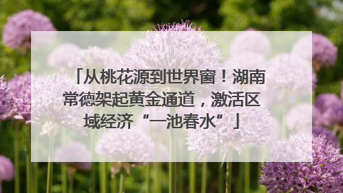 从桃花源到世界窗！湖南常德架起黄金通道，激活区域经济“一池春水”