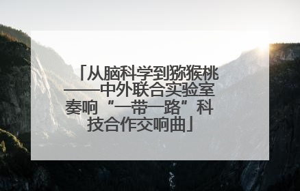 从脑科学到猕猴桃——中外联合实验室奏响“一带一路”科技合作交响曲