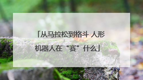 从马拉松到格斗 人形机器人在“赛”什么