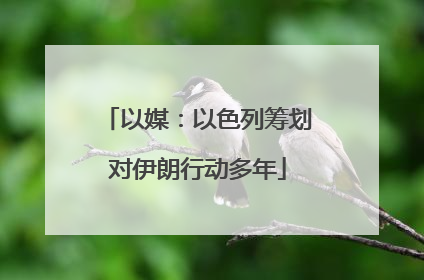 以媒:以色列筹划对伊朗行动多年