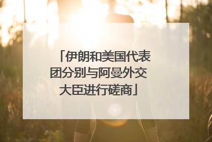 伊朗和美国代表团分别与阿曼外交大臣进行磋商