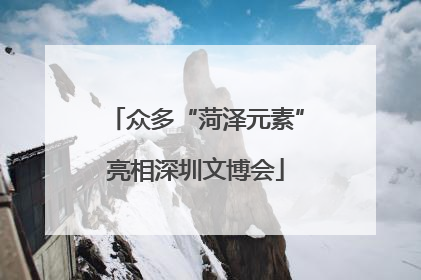 众多“菏泽元素”亮相深圳文博会