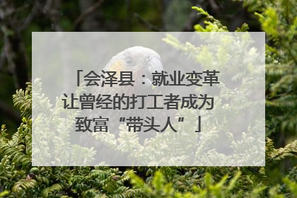 会泽县：就业变革让曾经的打工者成为致富“带头人”