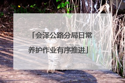 会泽公路分局日常养护作业有序推进