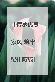 传承优良家风 筑牢纪律防线
