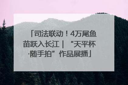 司法联动！4万尾鱼苗跃入长江｜“天平杯·随手拍”作品展播