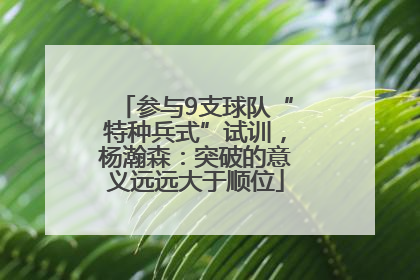 参与9支球队“特种兵式”试训，杨瀚森：突破的意义远远大于顺位