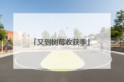 又到树莓收获季