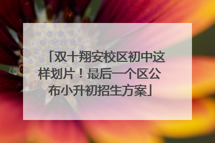双十翔安校区初中这样划片！最后一个区公布小升初招生方案