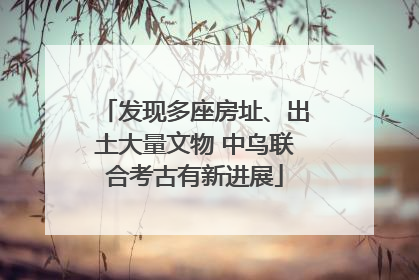 发现多座房址、出土大量文物 中乌联合考古有新进展