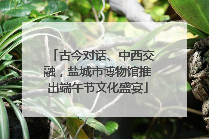 古今对话、中西交融，盐城市博物馆推出端午节文化盛宴