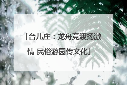 台儿庄：龙舟竞渡扬激情 民俗游园传文化