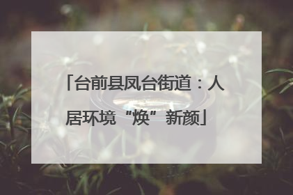 台前县凤台街道：人居环境“焕”新颜