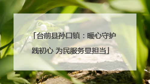 台前县孙口镇：暖心守护践初心 为民服务显担当