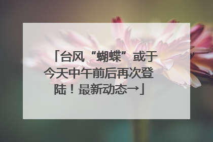台风“蝴蝶”或于今天中午前后再次登陆！最新动态→