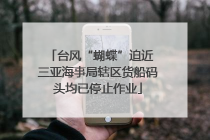 台风“蝴蝶”迫近 三亚海事局辖区货船码头均已停止作业