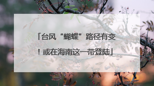 台风“蝴蝶”路径有变！或在海南这一带登陆