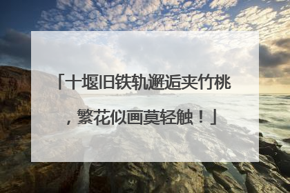 十堰旧铁轨邂逅夹竹桃，繁花似画莫轻触！