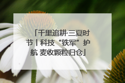 千里追耕·三夏时节丨科技“铁军”护航 麦收颗粒归仓