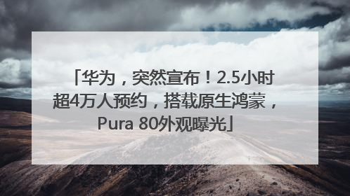 华为，突然宣布！2.5小时超4万人预约，搭载原生鸿蒙，Pura 80外观曝光