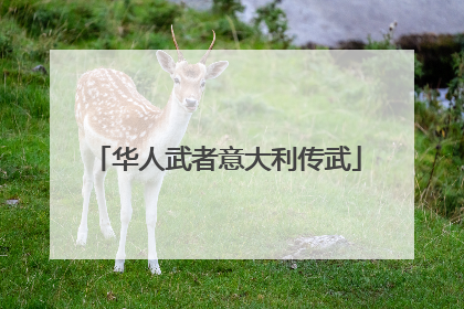 华人武者意大利传武