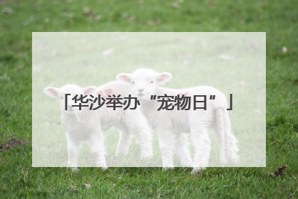 华沙举办“宠物日”