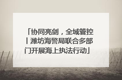协同亮剑，全域管控丨潍坊海警局联合多部门开展海上执法行动