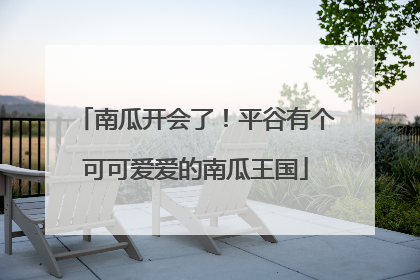 南瓜开会了！平谷有个可可爱爱的南瓜王国