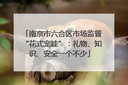 南京市六合区市场监管“花式宠娃”：礼物、知识、安全一个不少