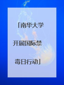 南华大学开展国际禁毒日行动