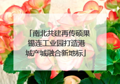 南北共建再传硕果 锡连工业园打造港城产城融合新地标