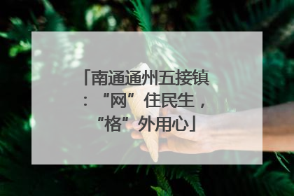 南通通州五接镇：“网”住民生，“格”外用心
