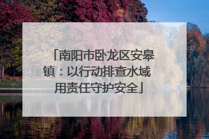 南阳市卧龙区安皋镇：以行动排查水域 用责任守护安全