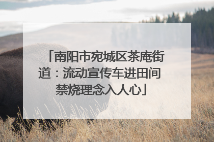 南阳市宛城区茶庵街道：流动宣传车进田间 禁烧理念入人心
