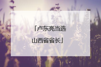 卢东亮当选山西省省长