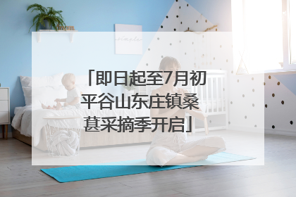 即日起至7月初 平谷山东庄镇桑葚采摘季开启