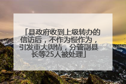 县政府收到上级转办的信访后，不作为慢作为，引发重大舆情，分管副县长等25人被处理