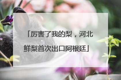 厉害了我的梨，河北鲜梨首次出口阿根廷