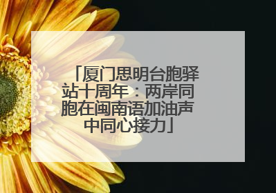 厦门思明台胞驿站十周年：两岸同胞在闽南语加油声中同心接力