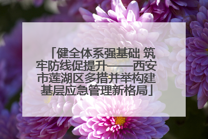 健全体系强基础 筑牢防线促提升——西安市莲湖区多措并举构建基层应急管理新格局