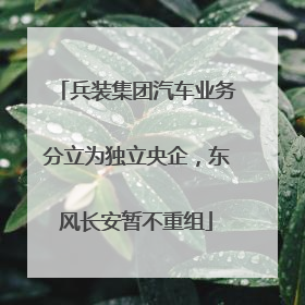 兵装集团汽车业务分立为独立央企，东风长安暂不重组