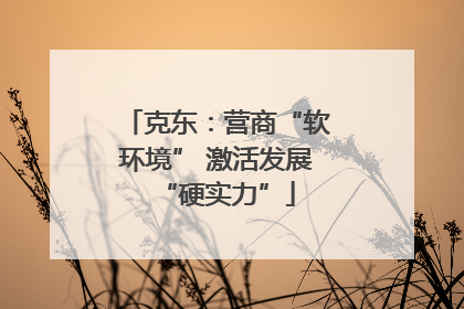 克东：营商“软环境” 激活发展“硬实力”