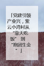 党建引领产业兴，紫云小湾村从 “靠天吃饭” 到 “抱团生金”