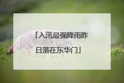 入汛最强降雨昨日落在东华门