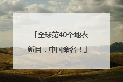 全球第40个地衣新目，中国命名！