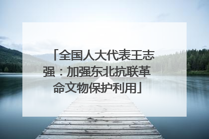 全国人大代表王志强：加强东北抗联革命文物保护利用