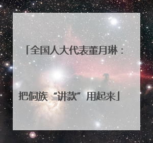 全国人大代表董月琳：把侗族“讲款”用起来